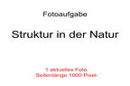 Projekte